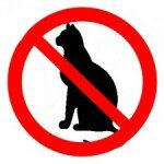 Кошки и запреты