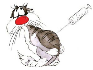Вакцинация кошек