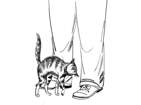 Головой об ноги