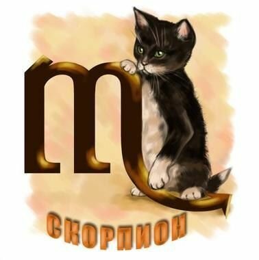 Кошка Скорпион