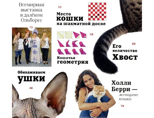 Мой друг кошка